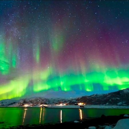 In The Heart Of The Aurora Borealis - Tromso City Esterno foto