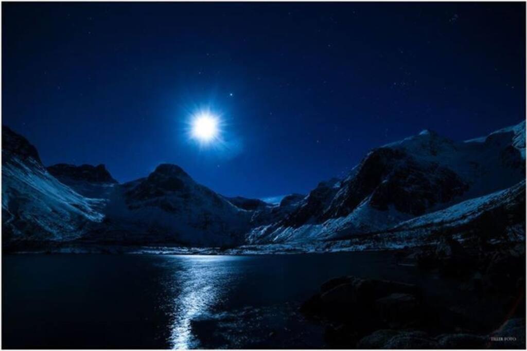 In The Heart Of The Aurora Borealis - Tromso City Esterno foto