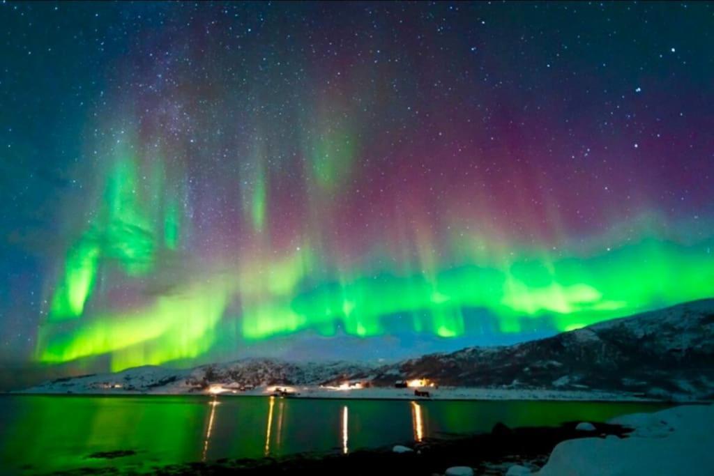 In The Heart Of The Aurora Borealis - Tromso City Esterno foto