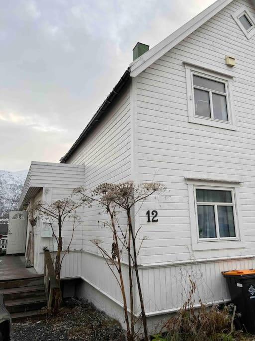 In The Heart Of The Aurora Borealis - Tromso City Esterno foto